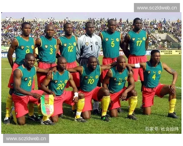 喀麦隆足球联赛发展现状及其对国内足球文化和经济的影响分析